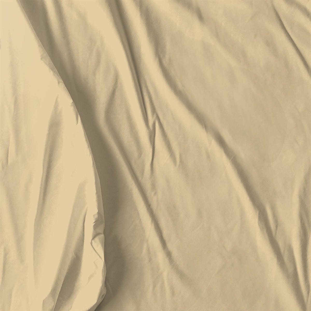 Maison & White Fitted Bed Sheet (Beige, Double)