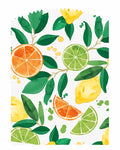 Citrus Fruit Paper Treat Bags with Stickers (6pk)