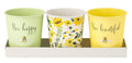 Bee-Beautiful Set - 3 Pots