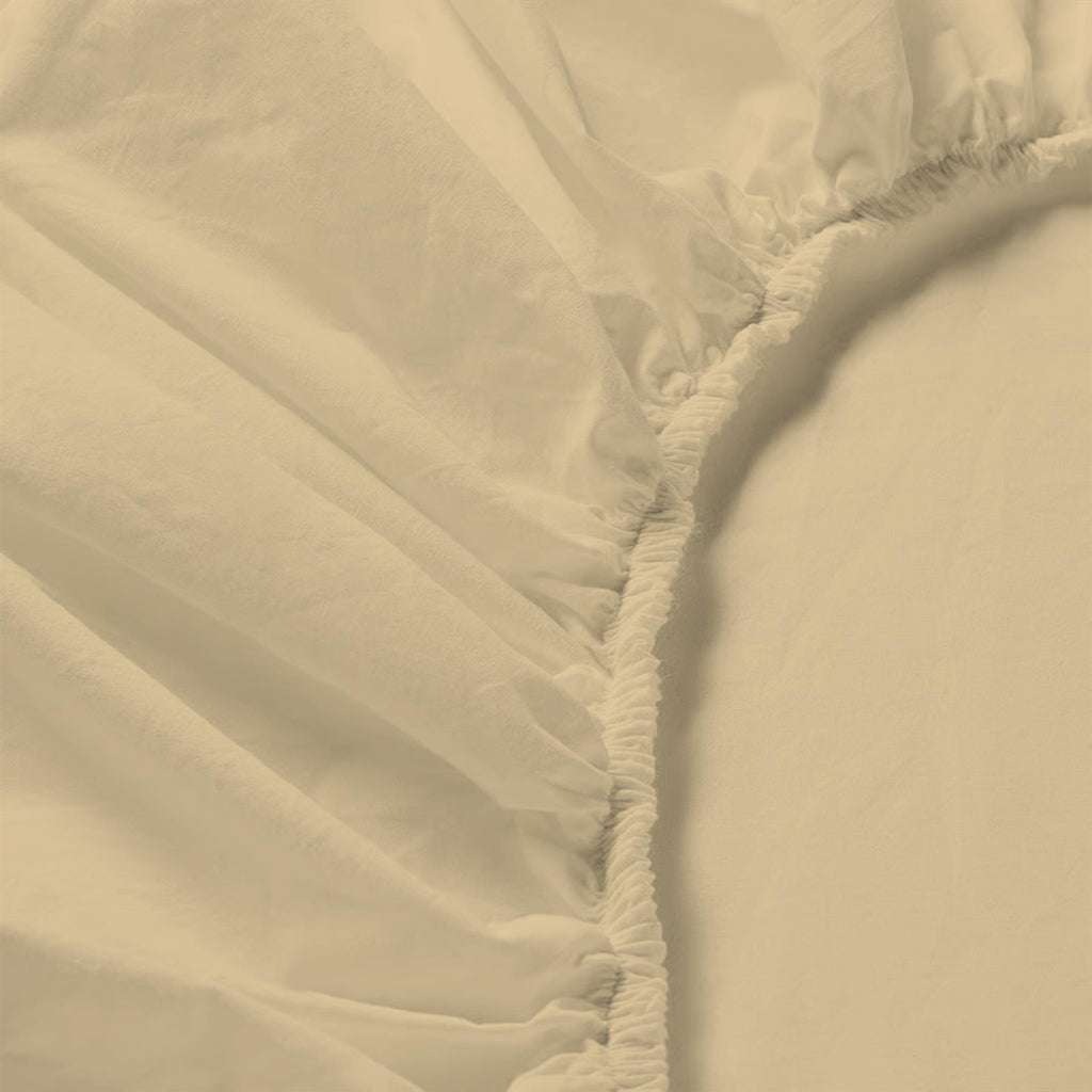 Maison & White Fitted Bed Sheet (Beige, Single)