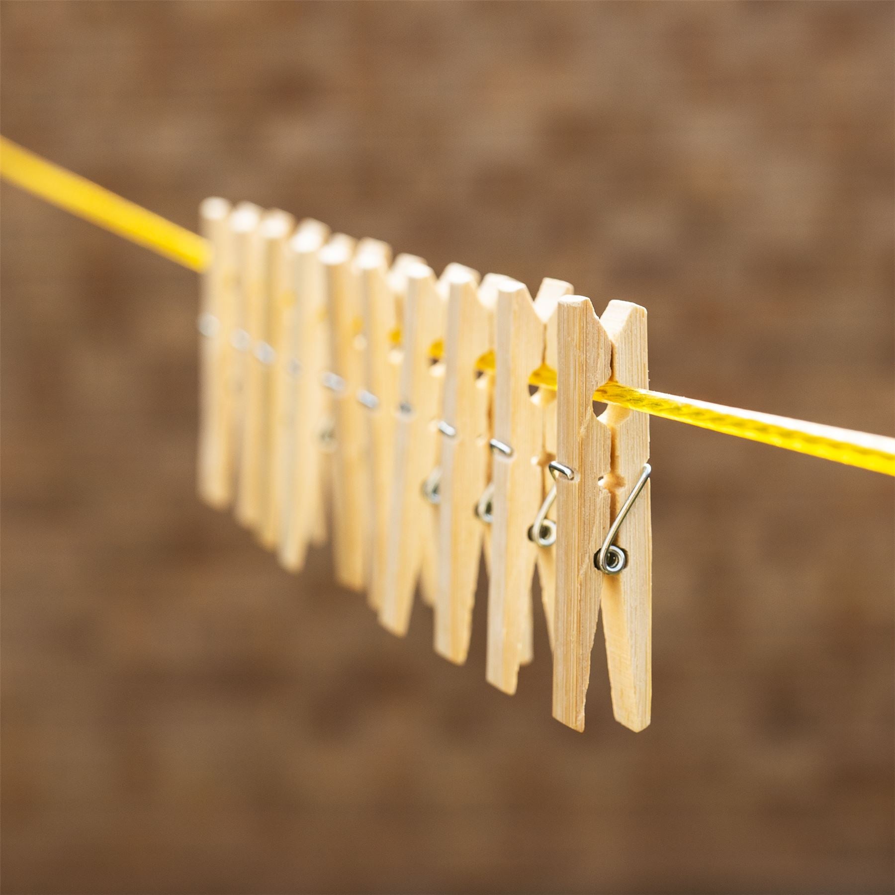 Bamboo Pegs - Pack of 100 | Pukkr	