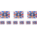King Charles Coronation Material Bunting - 3.6m