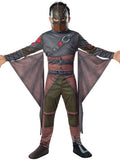 Hiccup - Child Costume