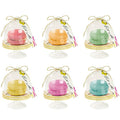 Alice in Wonderland Cake Dome, Tag & Doily Set (6pk)