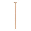Paper Balloon Stick & Cup