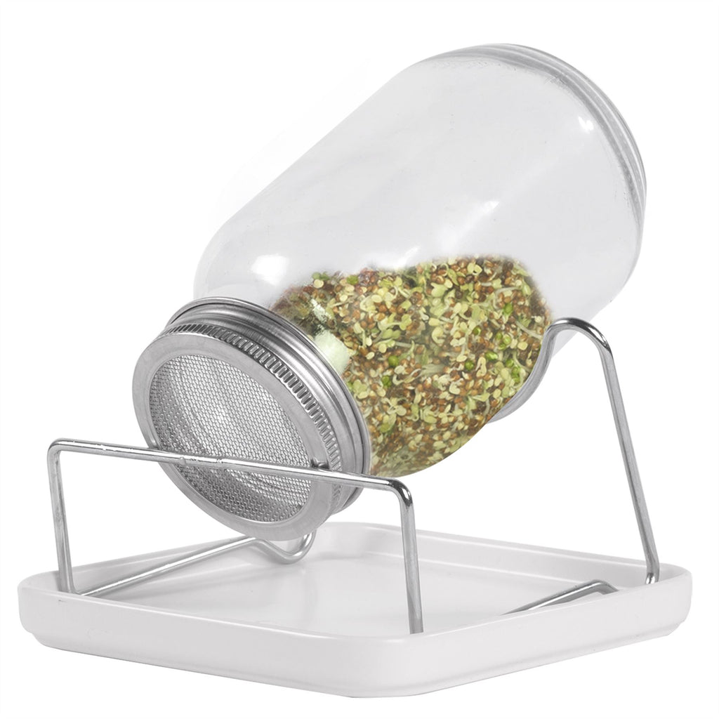 Seed Sprouting Jar Kit - Set of 2 | M&W	