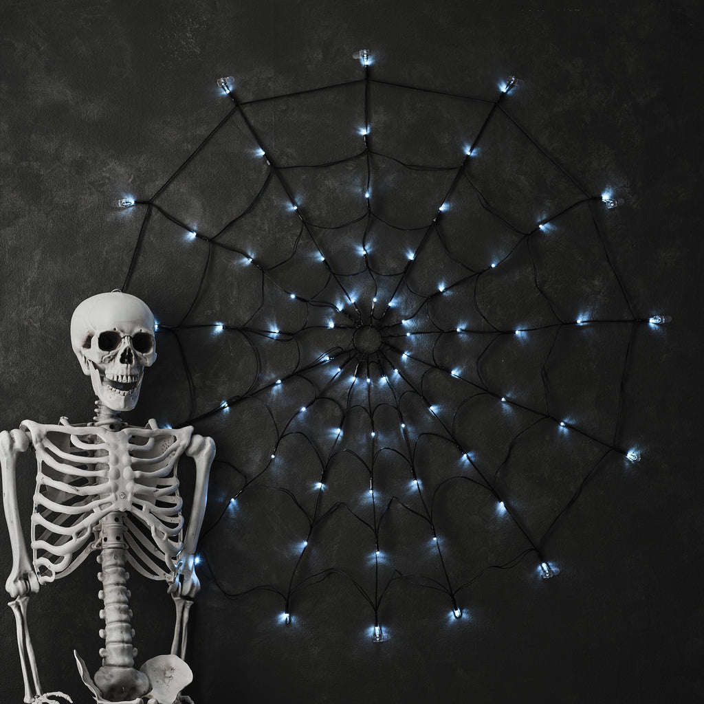 Light Up Spiderweb Decoration