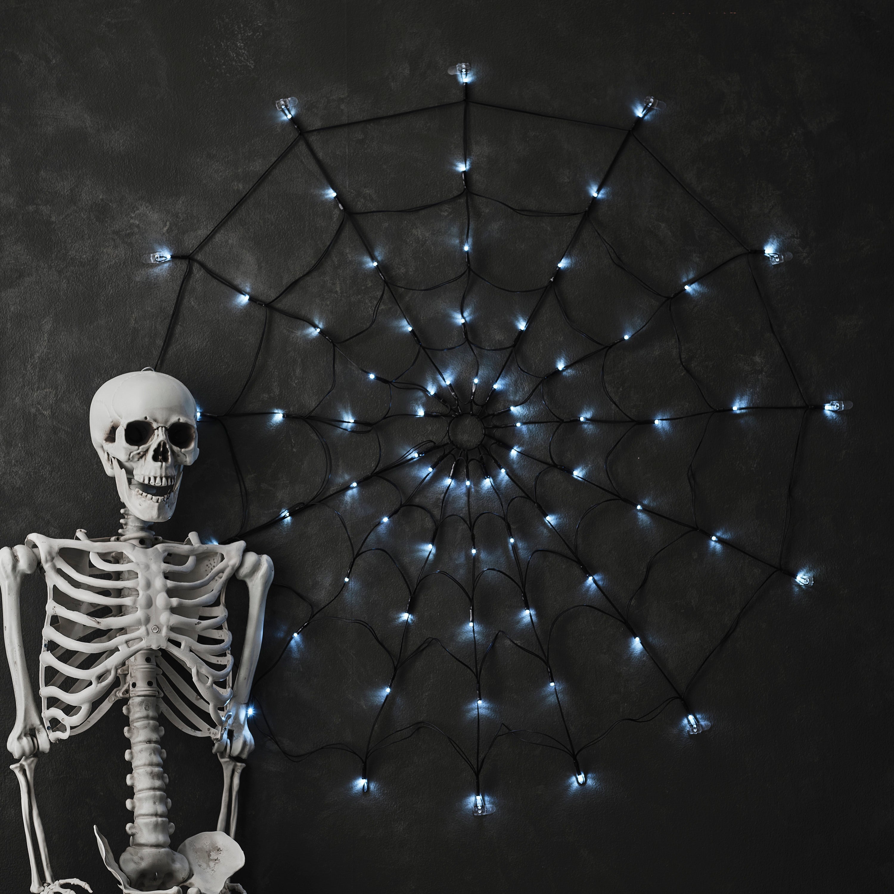 Light Up Spiderweb Decoration
