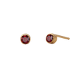 Birthstone Round Stud Earring