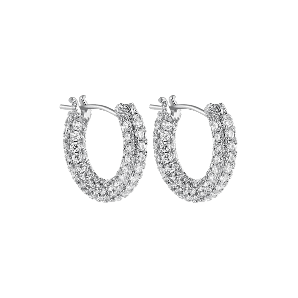 Huggie Hoop Earrings