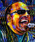Stevie Wonder 45cm x 37.5cm Small Metal Sign
