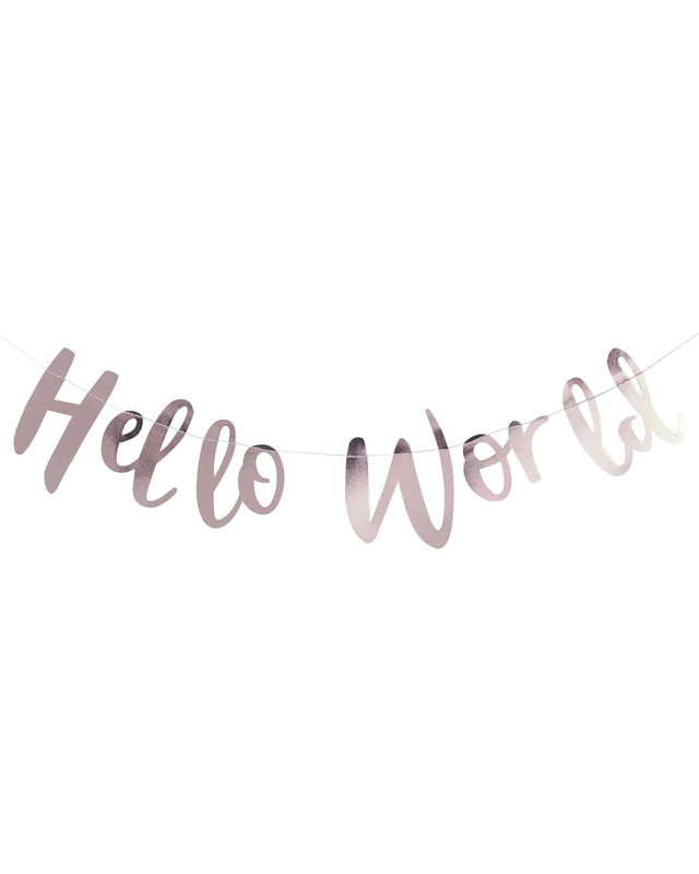 Hello World Rose Gold Letter Bunting - 2m