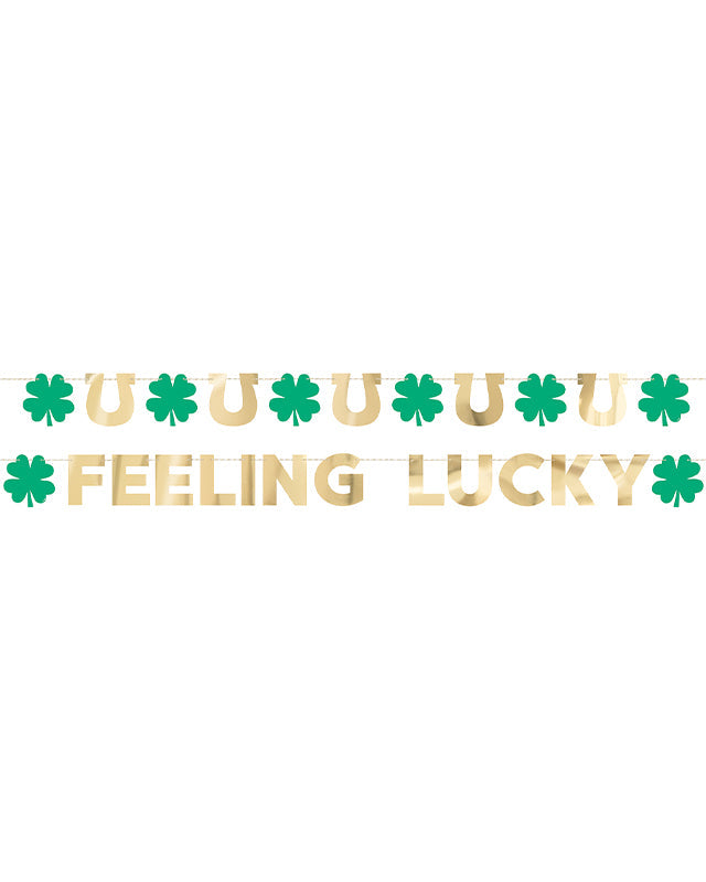 Shamrock Foil Garland - 2.7m (2pk)